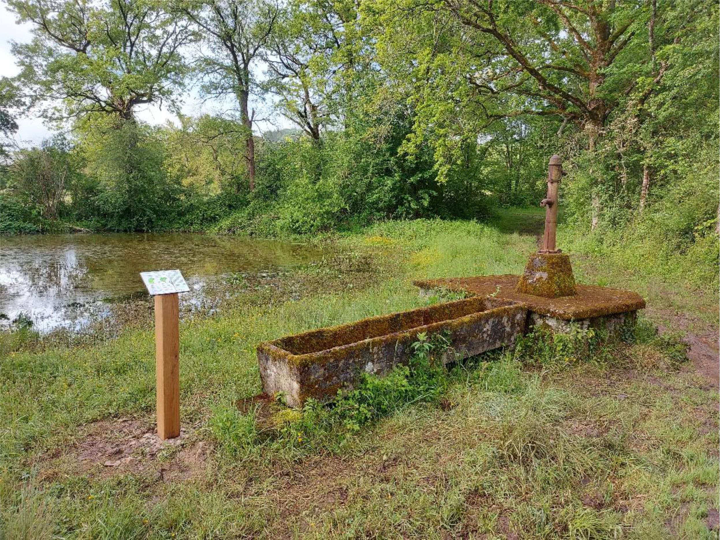 La fontaine d'andrienne